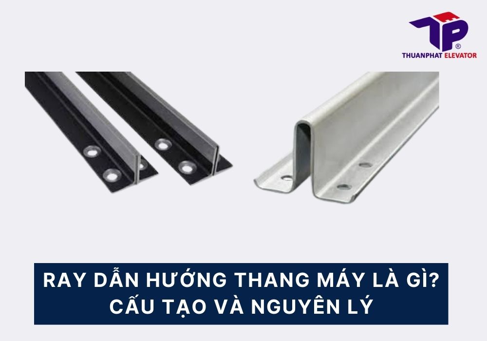 ray dan huong thang may