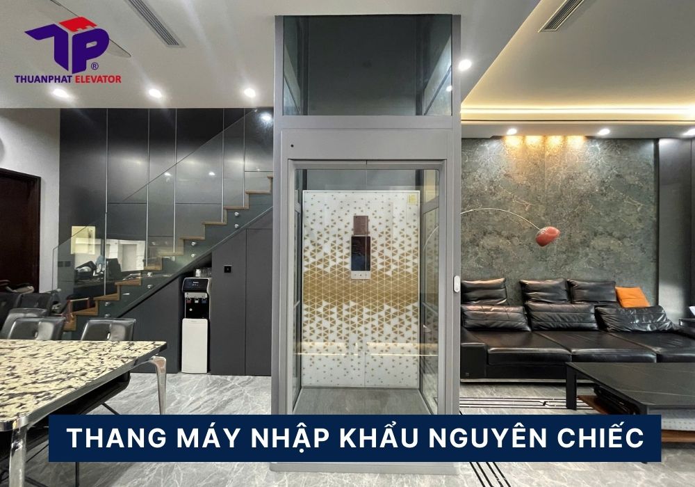 Thang nhập khẩu nguyên chiếc Thang nhập khẩu nguyên chiếc