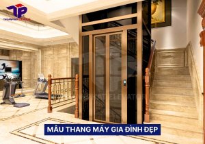 10+ mẫu thang máy gia đình đẹp và sang trọng 17 Mẫu thang máy gia đình đẹp