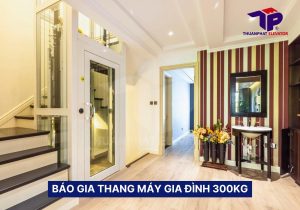 Thang máy gia đình 300kg: Báo giá & Lưu ý khi mua 34 Thang máy gia đình 300kg