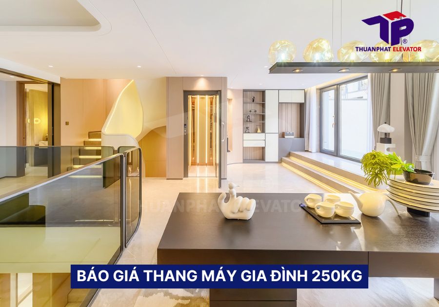 Thang máy gia đình 250kg: 5 Lưu ý khi lựa chọn lắp đặt 2 Báo giá thang máy gia đình 250kg