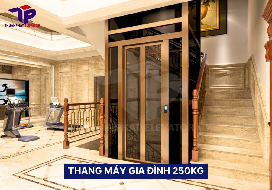 Thang máy gia đình 250kg: 5 Lưu ý khi lựa chọn lắp đặt 1 Thang máy gia đình 250kg