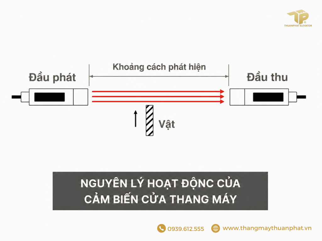 Thang 33 3 1